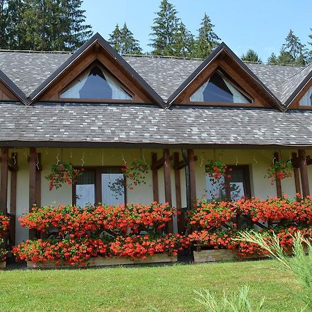 Pensiunea Inima Bucovinei Frasin Exterior foto