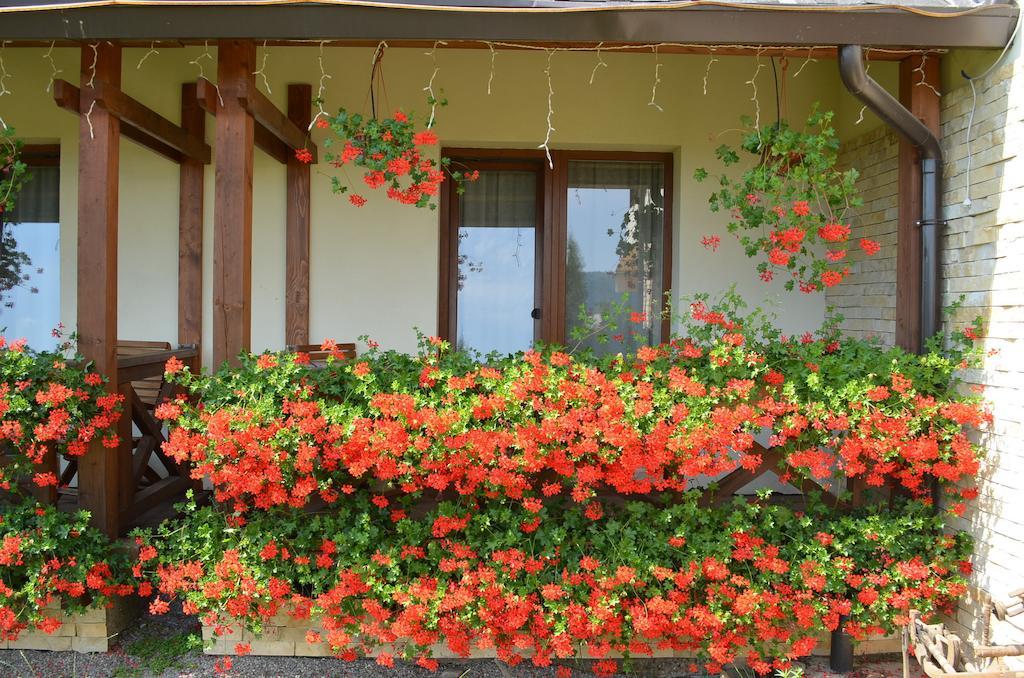 Pensiunea Inima Bucovinei Frasin Habitación foto