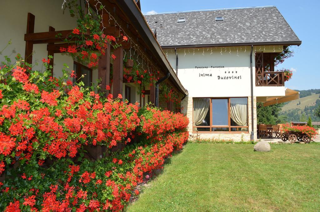 Pensiunea Inima Bucovinei Frasin Exterior foto